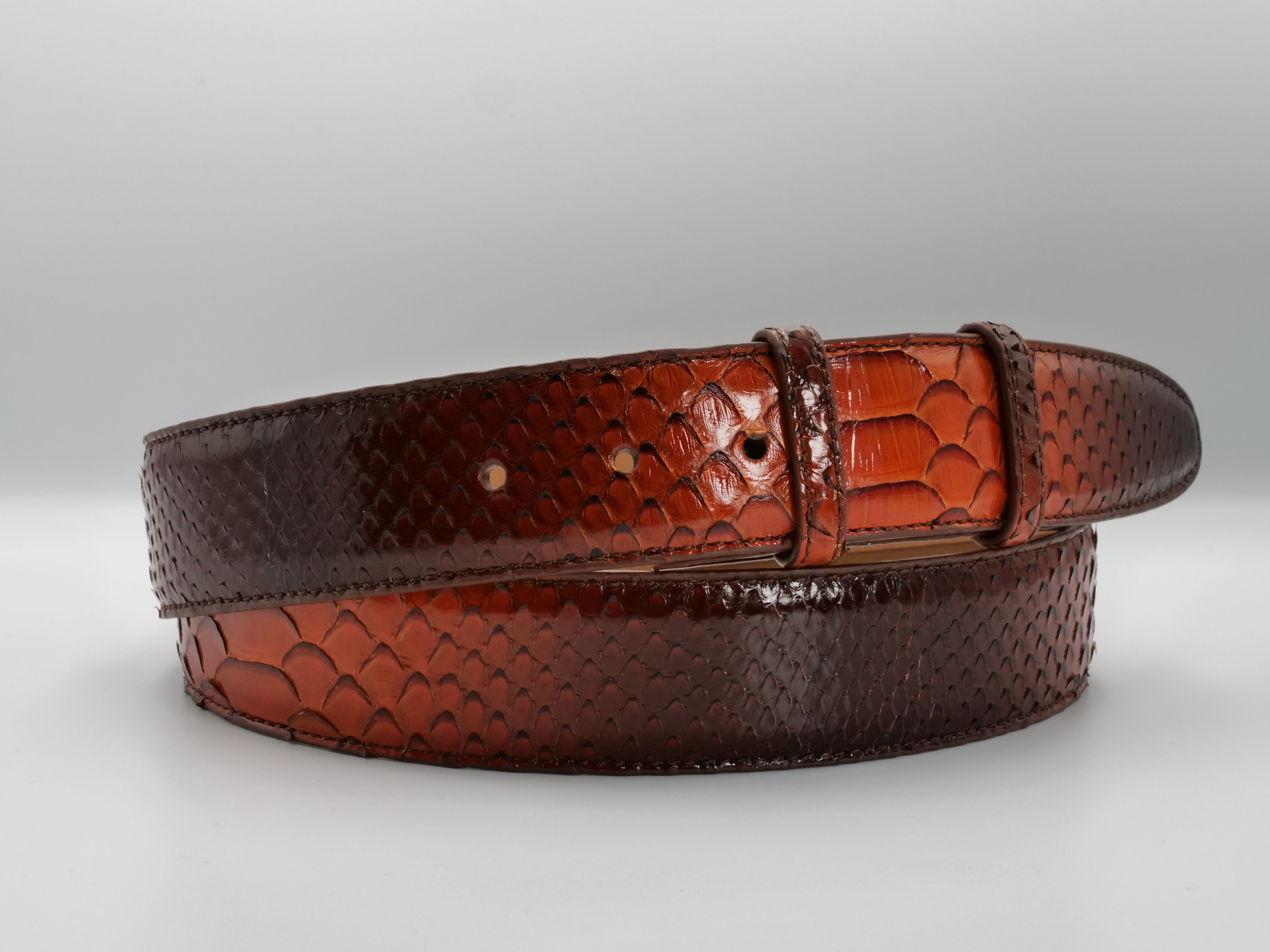 BOGART PYTHON BIVITTATUS BURNT ORANGE