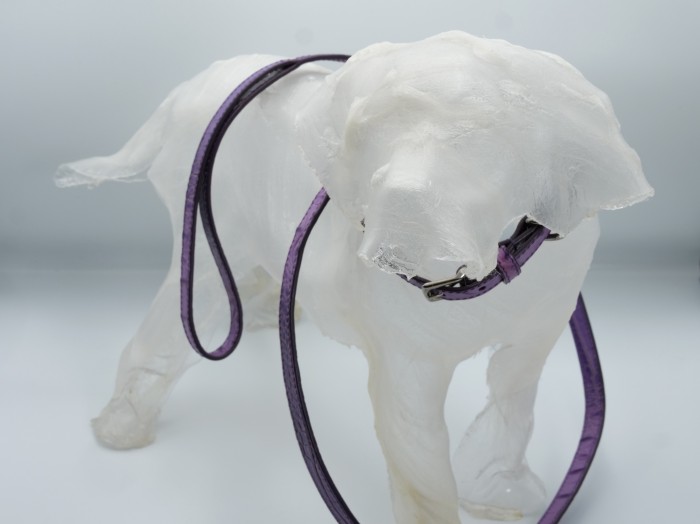 HYDE PARK COCCO JENNY DOG LEAD LAVENDER