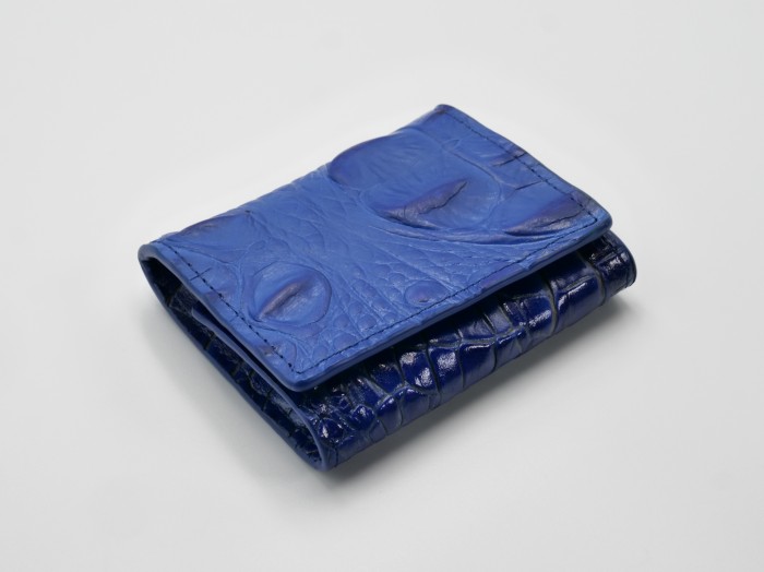 IMPERIAL COCCO JENNY ELECTRIC BLUE COIN CASE