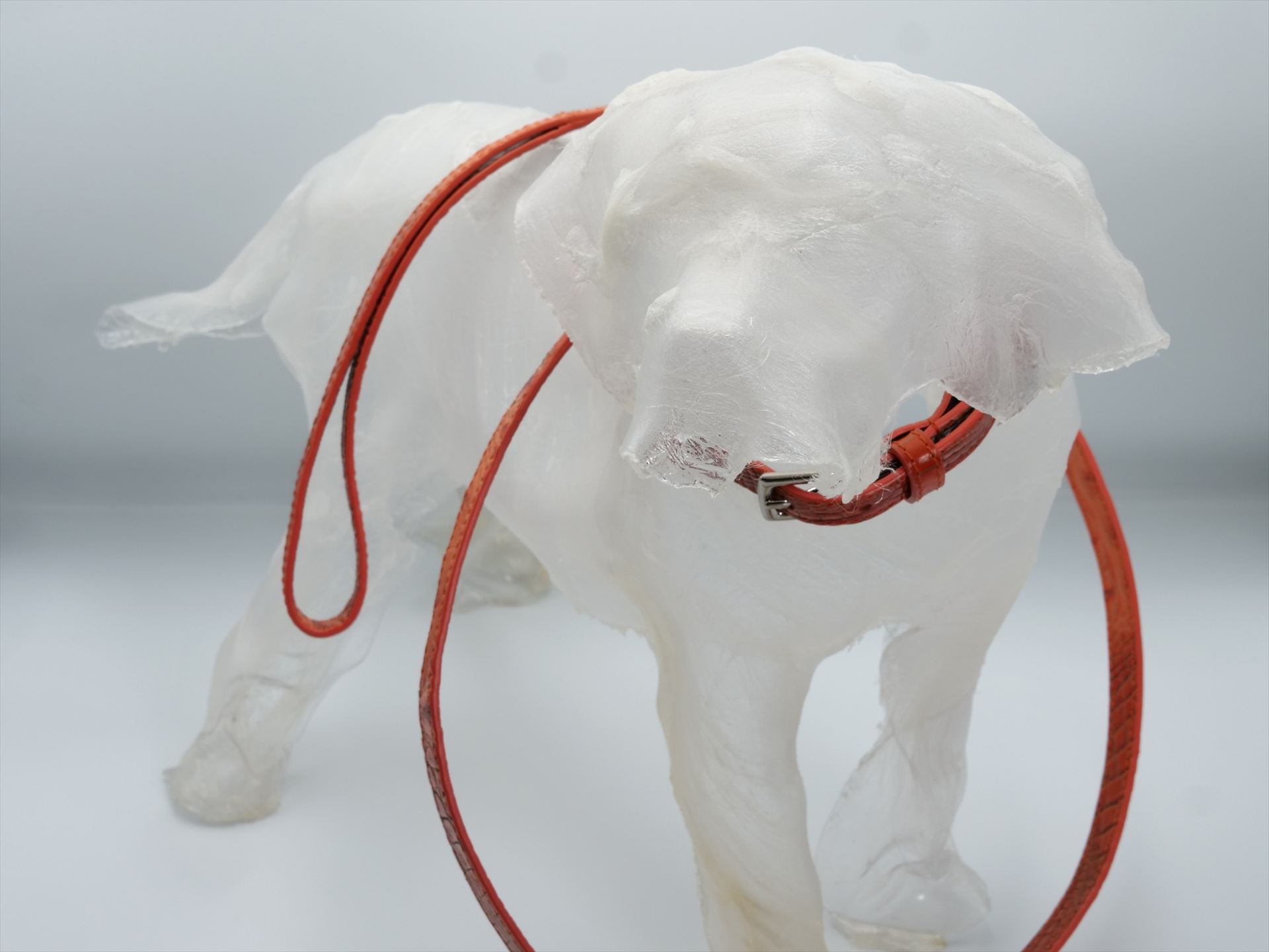 HYDE PARK COCCO JENNY DOG LEAD TANGERINE