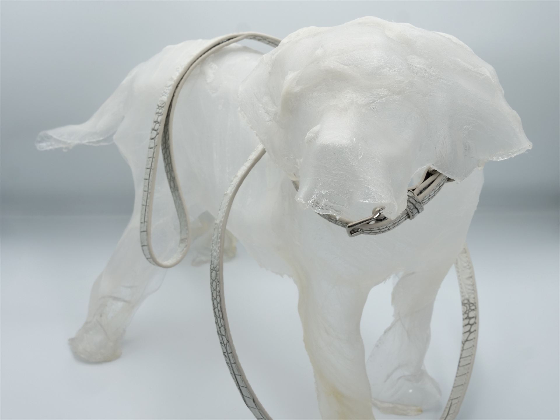 HYDE PARK COCCO JENNY DOG LEAD OFF WHITE