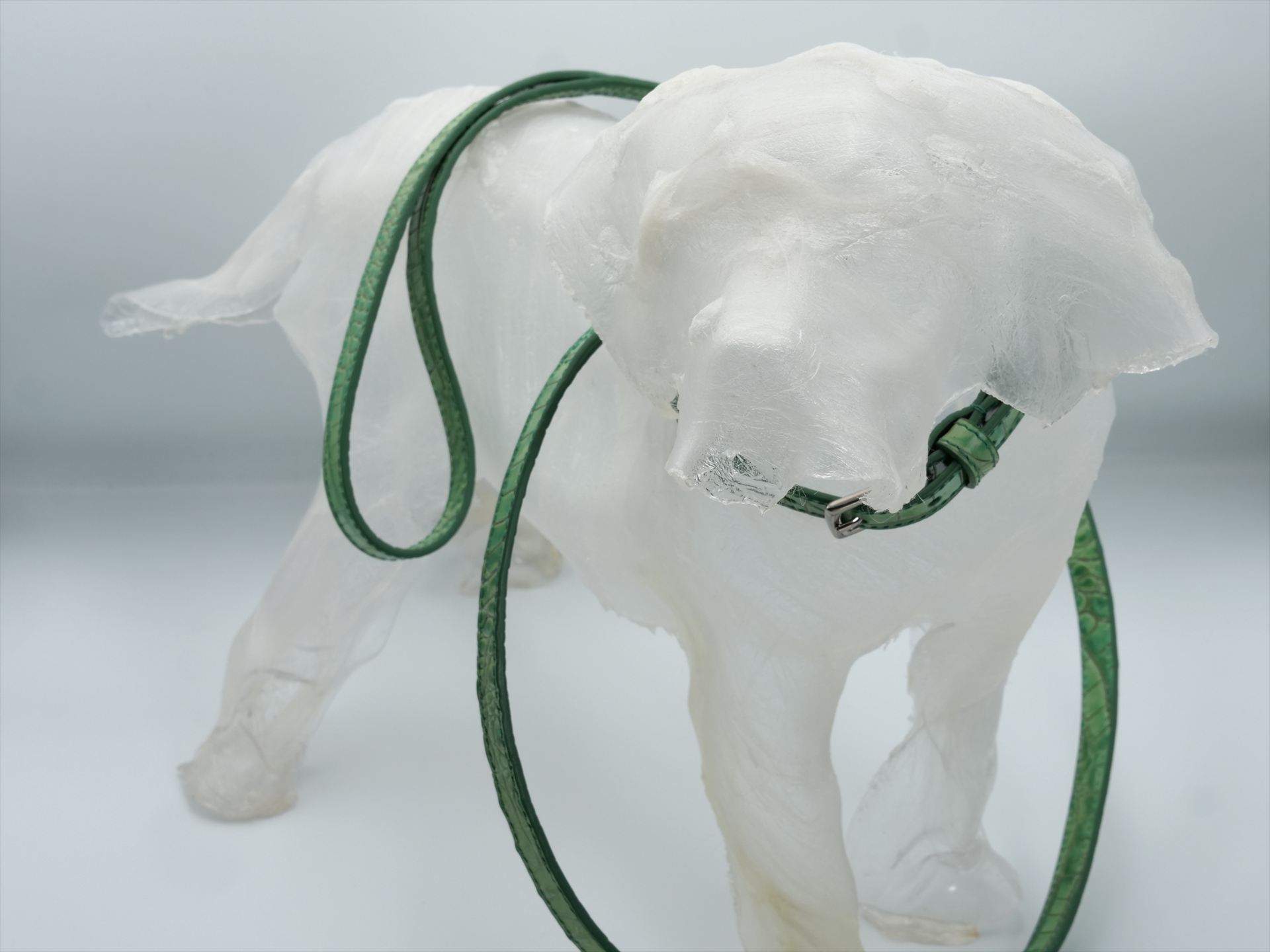 HYDE PARK COCCO JENNY DOG LEAD WASABI