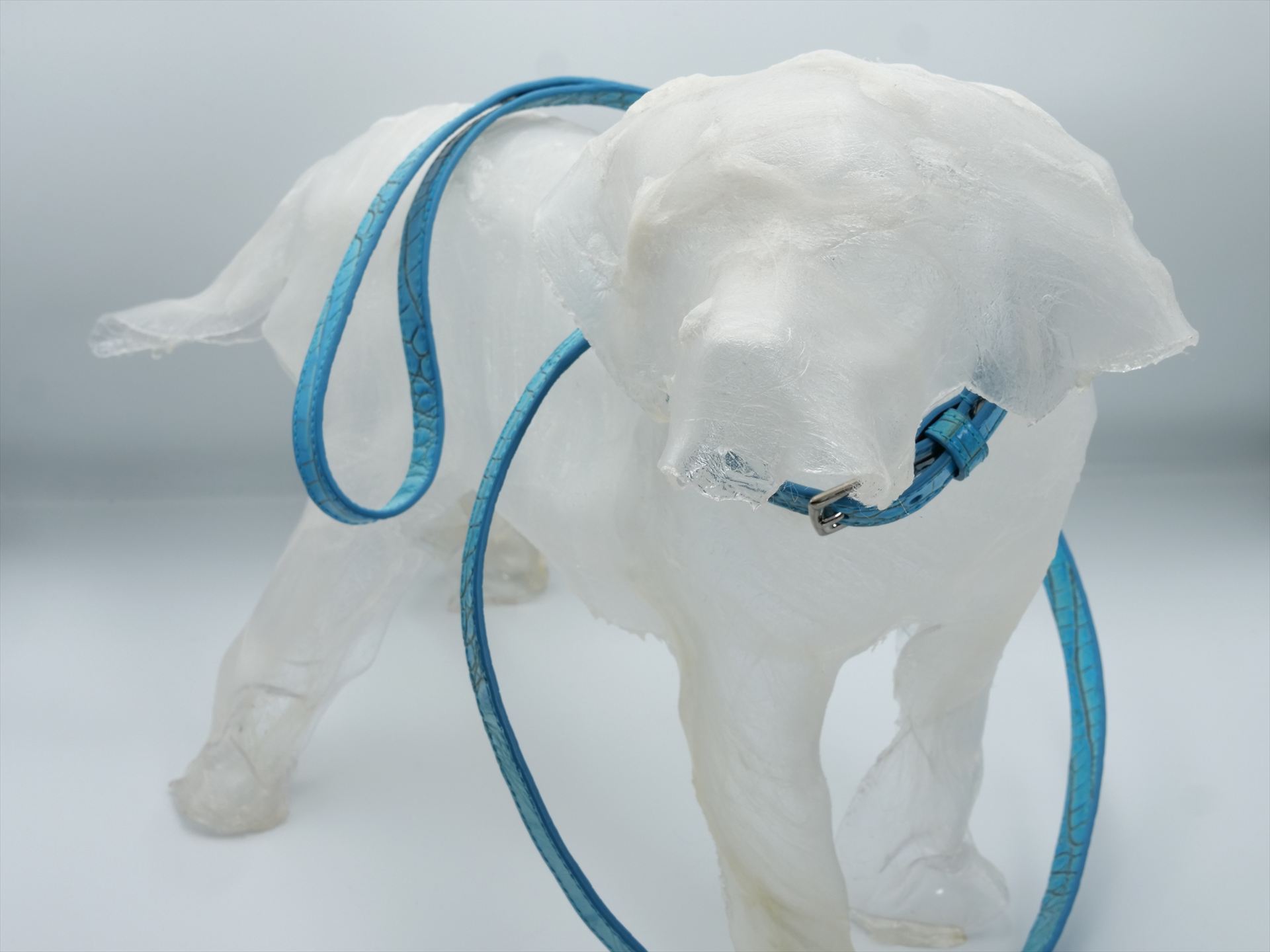 HYDE PARK COCCO JENNY DOG LEAD CARIBBEAN BLUE