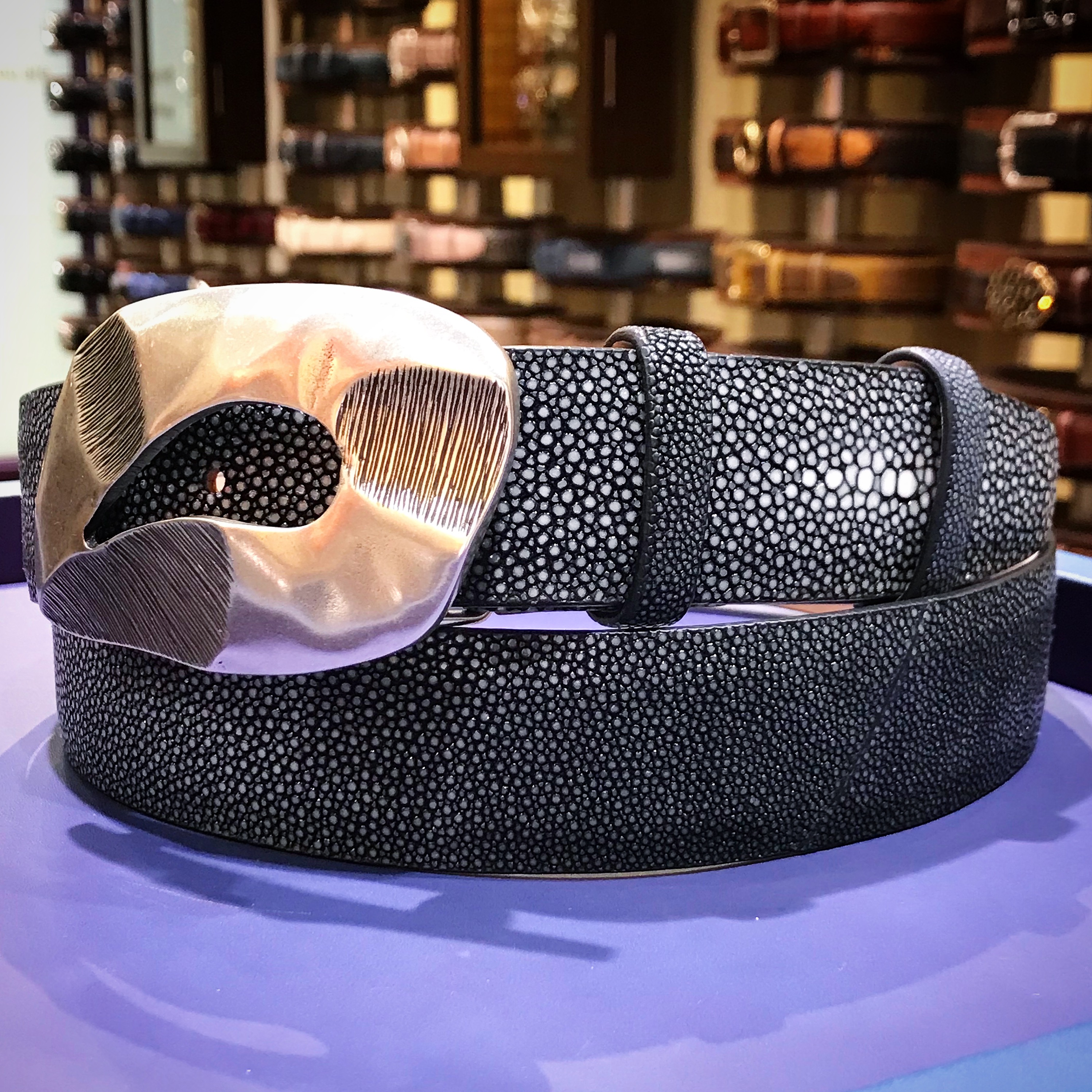 新作スティングレー入荷