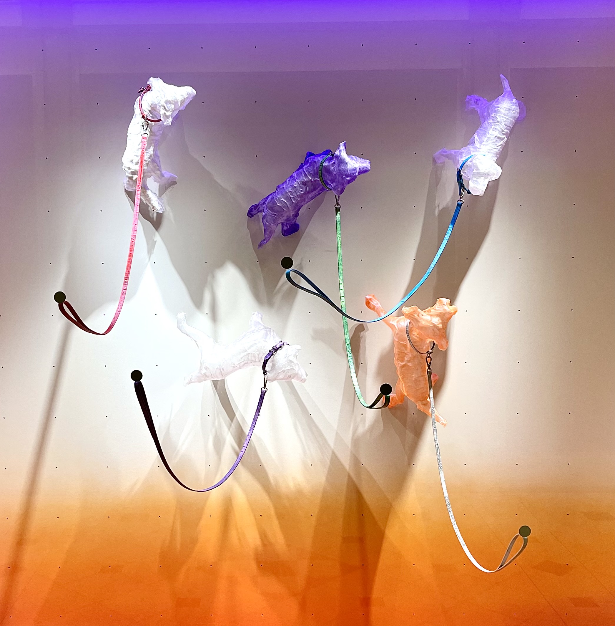 ハービスプラザ店　プレゼンテーションディスプレイが新しくなりました！